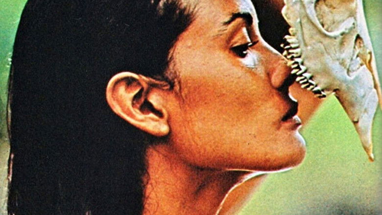 кадр из фильма La belva dalla calda pelle