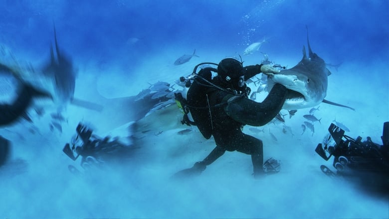 кадр из фильма Man vs. Shark