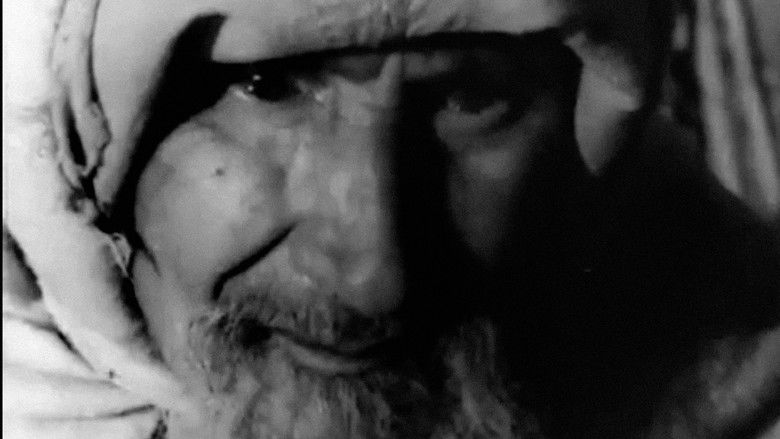 кадр из фильма Amal