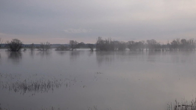 кадр из фильма Along The River