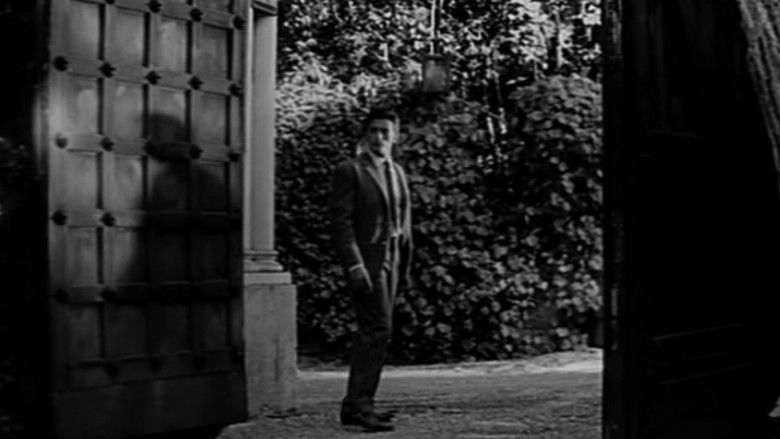 кадр из фильма Хищники