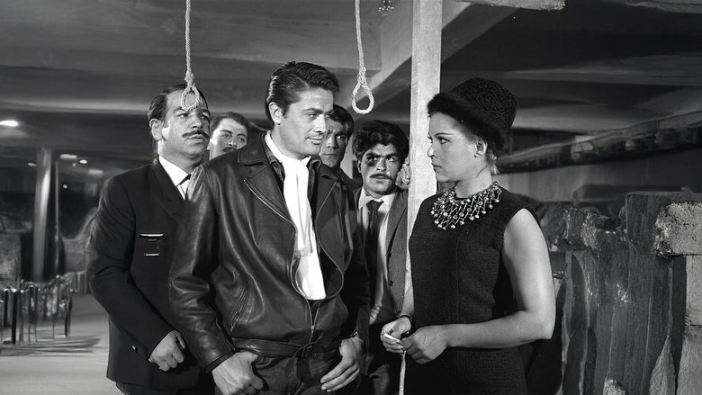 Şafakta Üç Kurşun