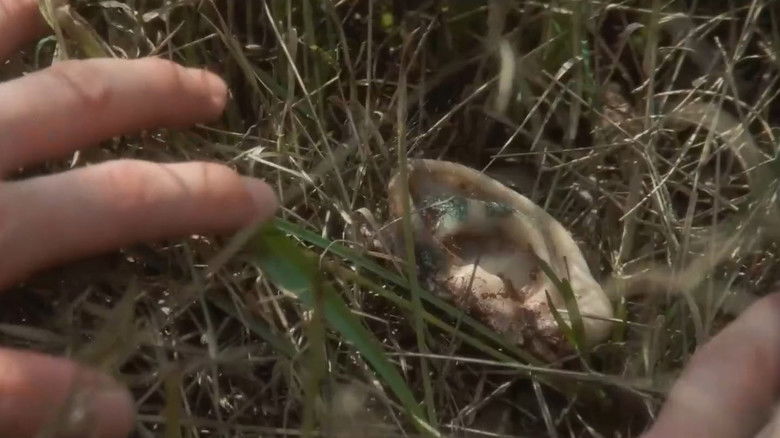 кадр из фильма Синий бархат