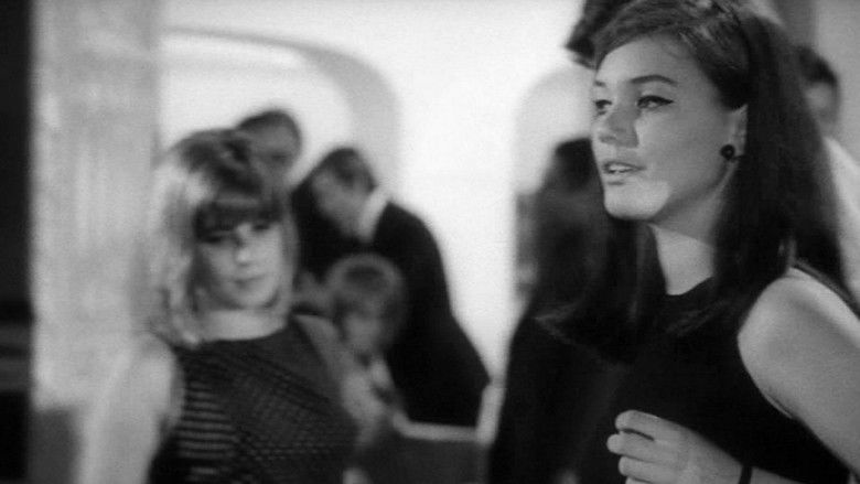 кадр из фильма Чудовища