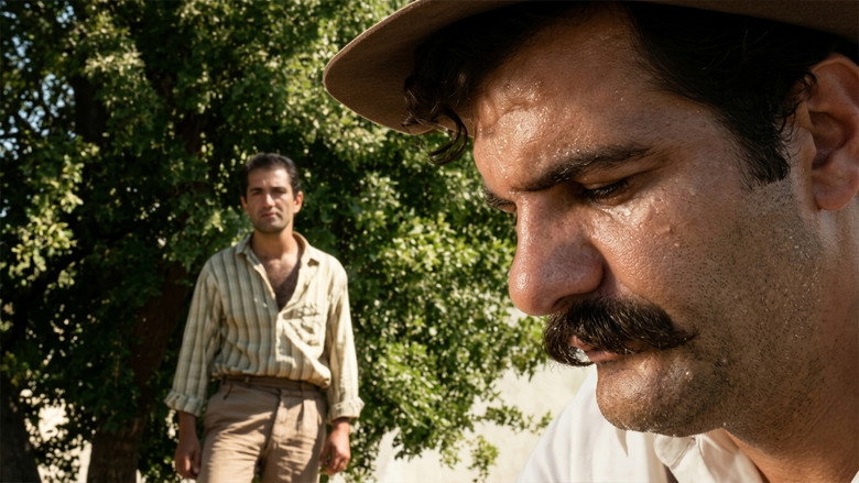 кадр из фильма Засушливое лето