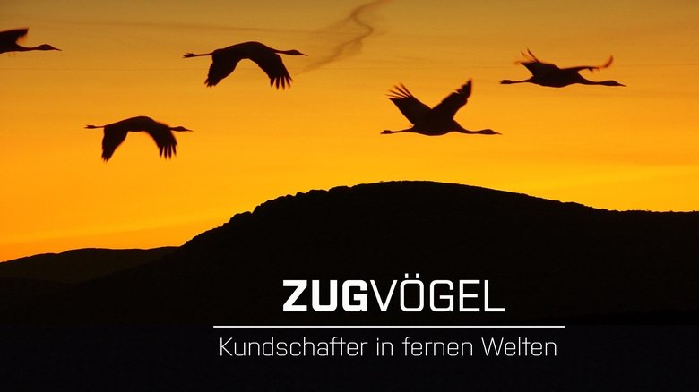 кадр из фильма Zugvögel - Kundschafter in fernen Welten