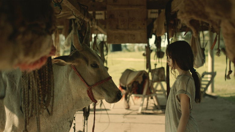 кадр из фильма Minha Mae E Uma Vaca