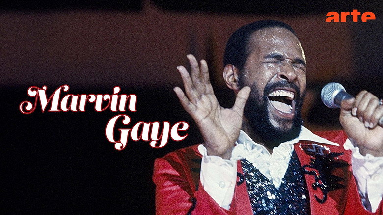 кадр из фильма Marvin Gaye: Greatest Hits Live '76
