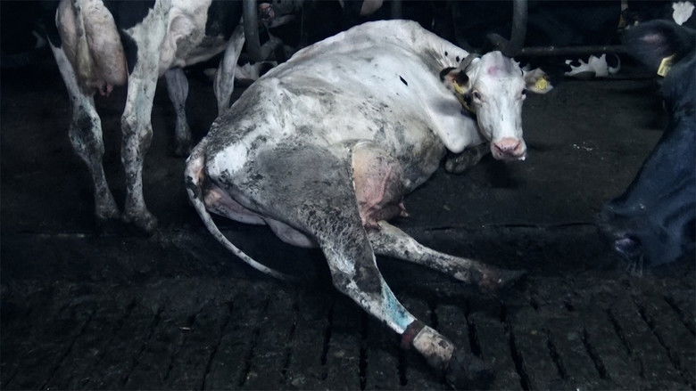 кадр из фильма Food for Profit