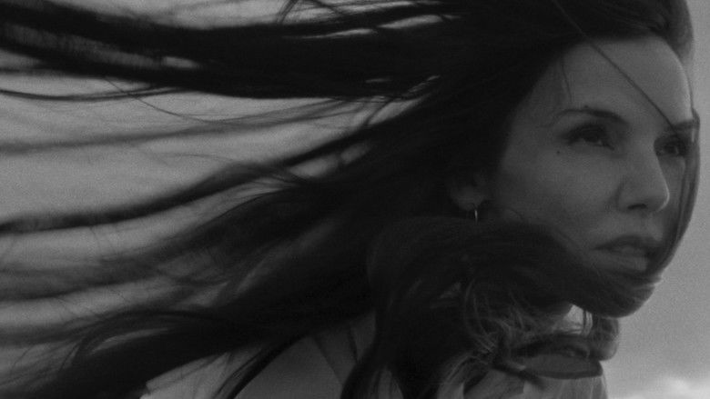 кадр из фильма To the day I die (songs of the sea)