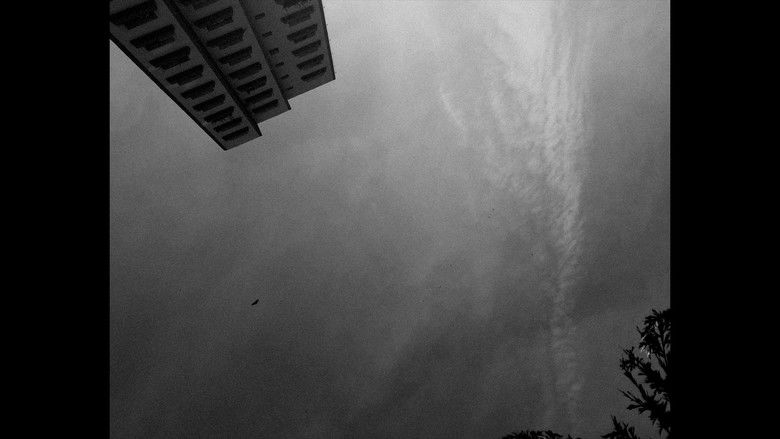 кадр из фильма Devaneio