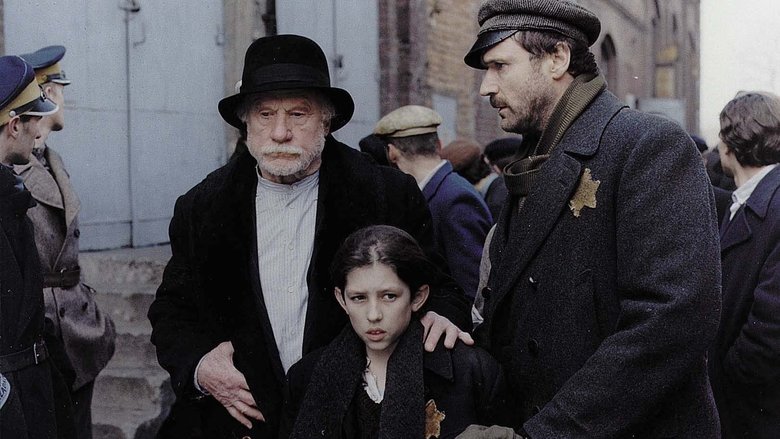 Остров на Птичьей улице