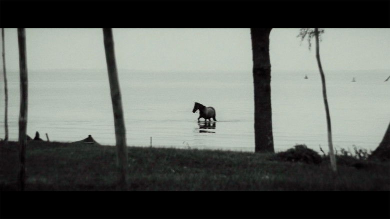 кадр из фильма Чувства