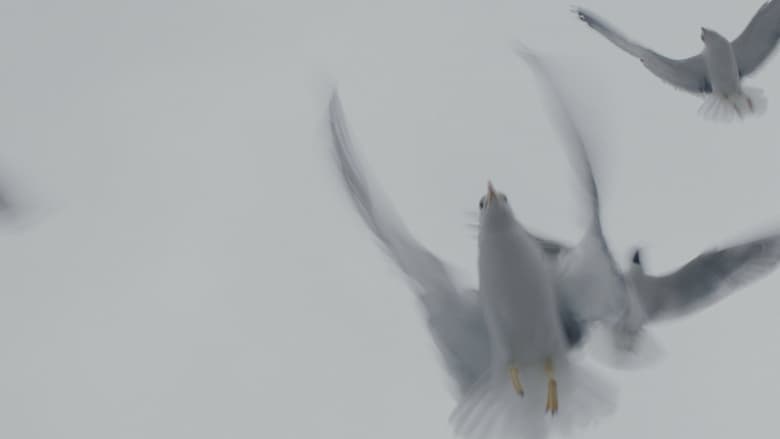 кадр из фильма Происшествие