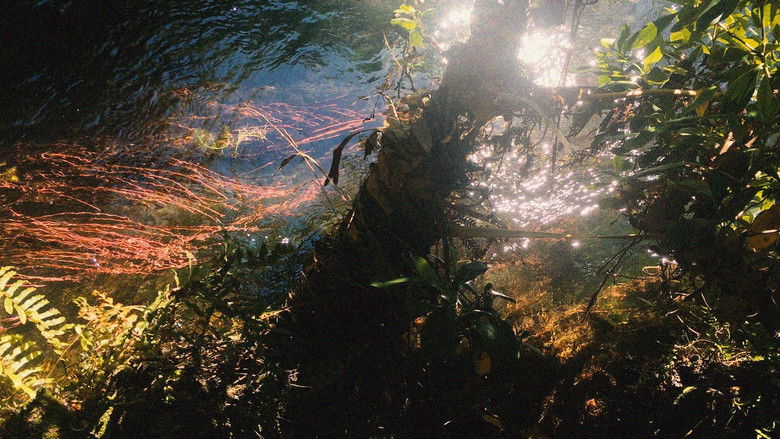 кадр из фильма Oko na roki