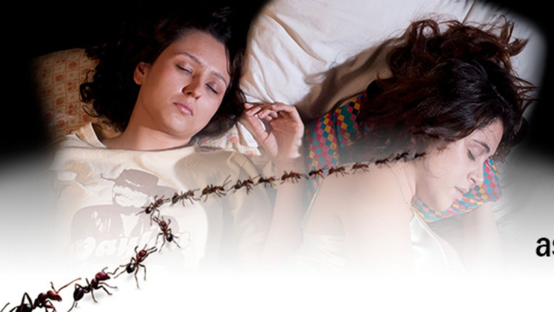 кадр из фильма As Formigas