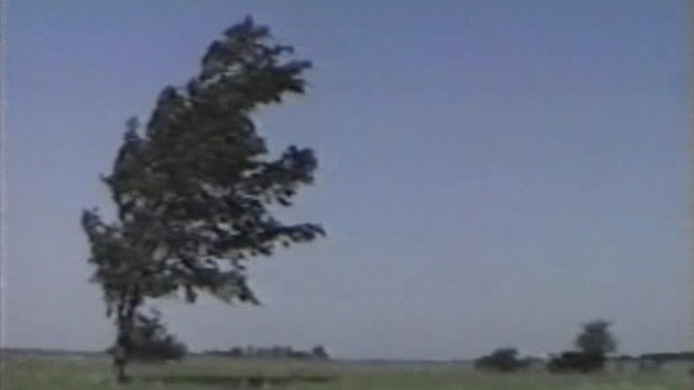 кадр из фильма Weather Diary 1