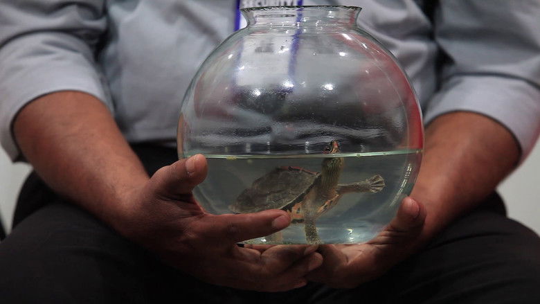 кадр из фильма Fishbowl