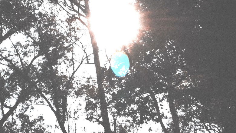 кадр из фильма PANIC