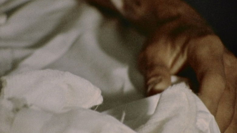 кадр из фильма The Act of Seeing with One's Own Eyes