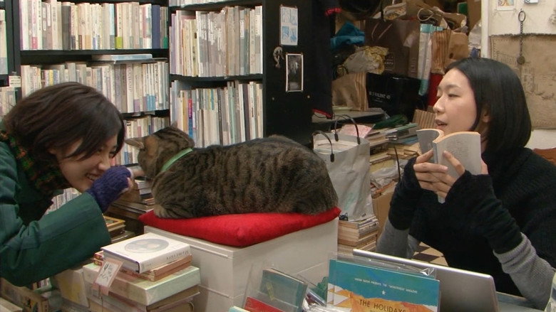 кадр из фильма 私は猫ストーカー