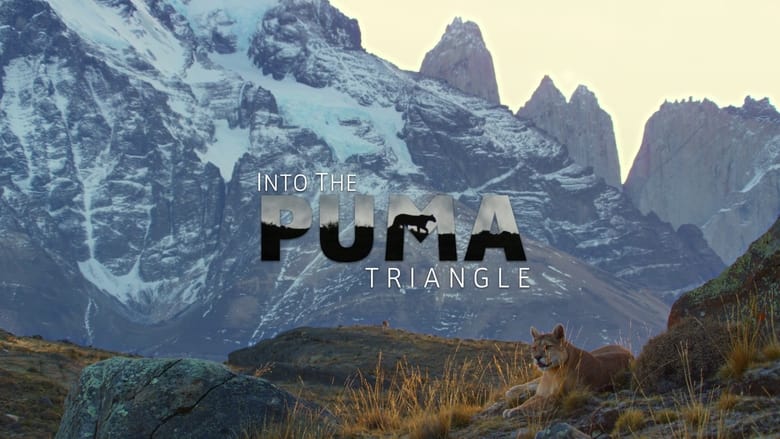 кадр из фильма Into the Puma Triangle