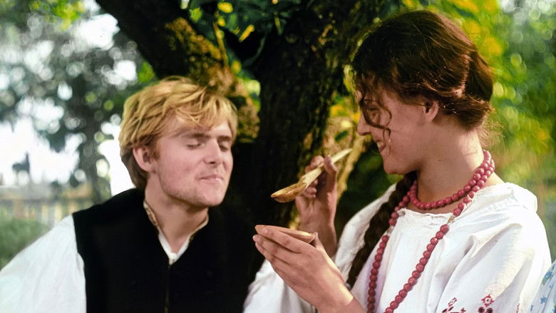 кадр из фильма Nad Niemnem