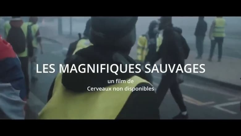 кадр из фильма Les Magnifiques sauvages