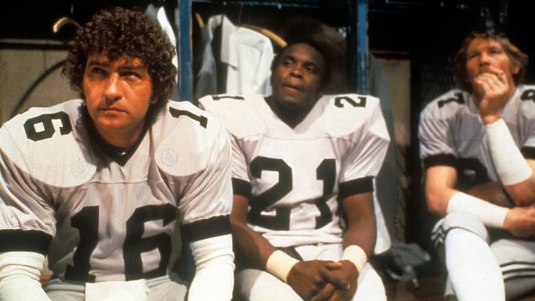 кадр из фильма Северный Даллас Сорок