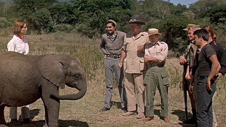 кадр из фильма Хатари!