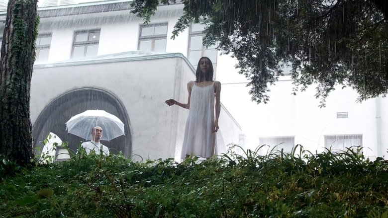 кадр из фильма KOTOKO