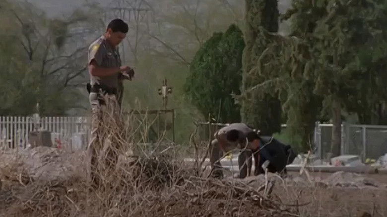 кадр из фильма Skinwalkers