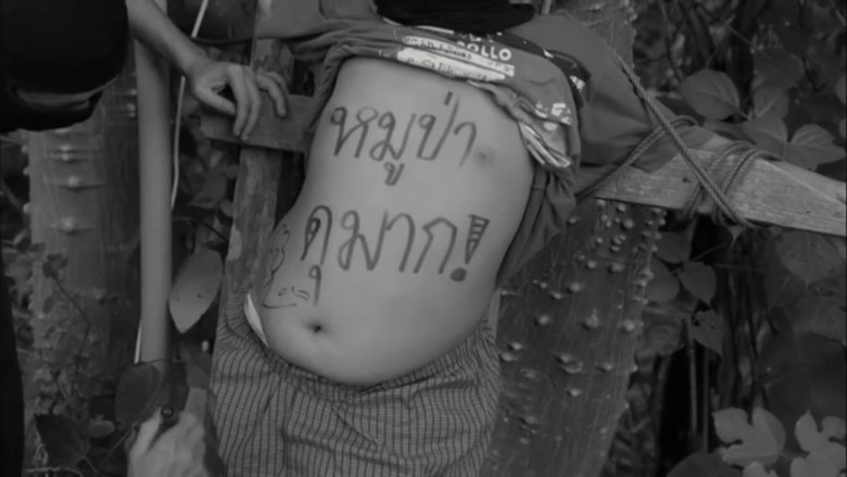 кадр из фильма หมอกแม่ริม