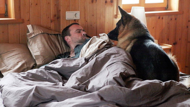 кадр из фильма Kommissar Rex - Eiszeit