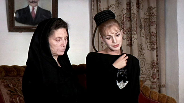 кадр из фильма Три но­чи любви