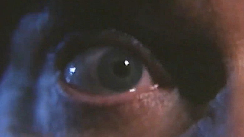 кадр из фильма Nag van Vrees