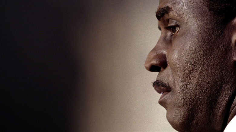 кадр из фильма В лучах славы