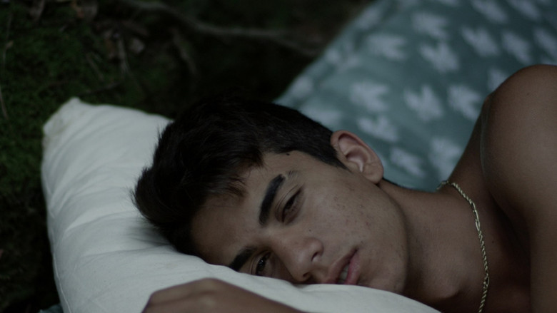 кадр из фильма Como en Arcadia