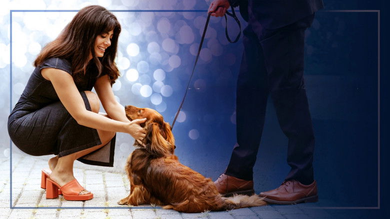 кадр из фильма Paws in the City