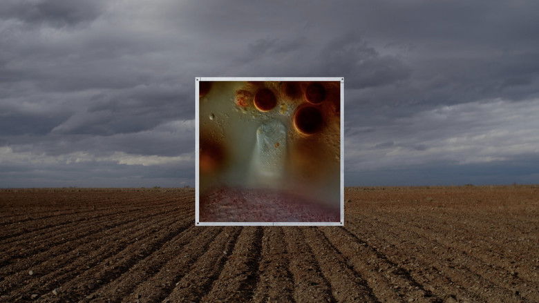 кадр из фильма STRATA INCOGNITA