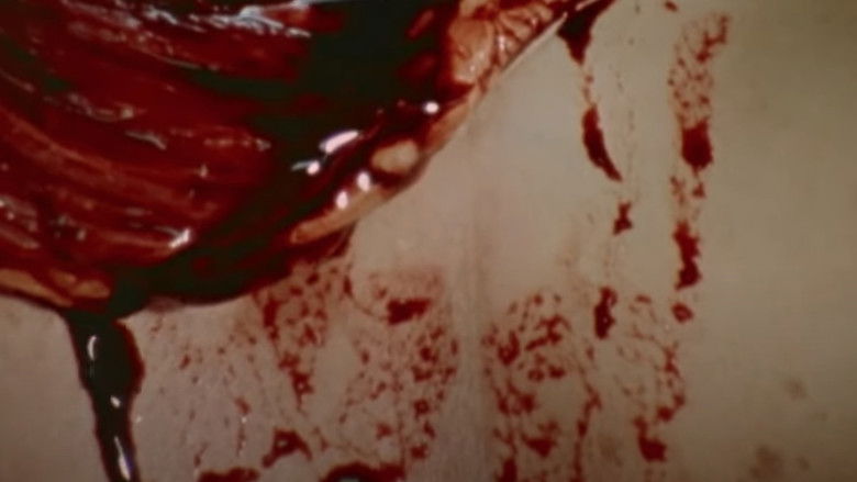 кадр из фильма The Act of Seeing with One's Own Eyes