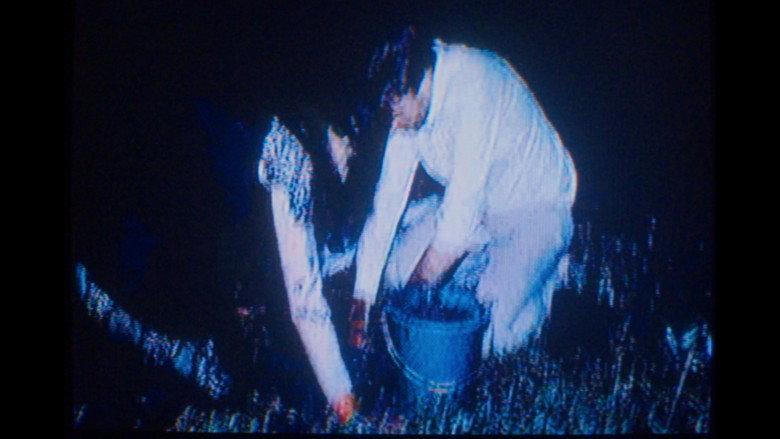 кадр из фильма The Dirt Knows.