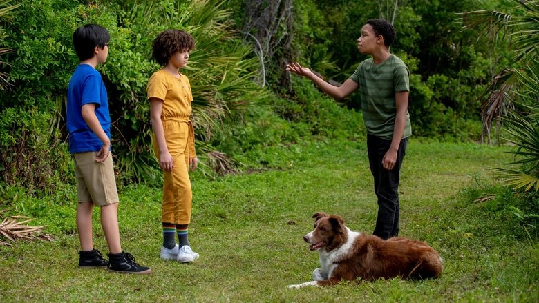 кадр из фильма Юные сыщики. Дело об исчезнувших щенках