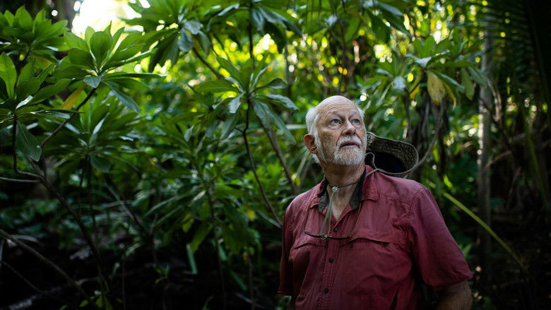 кадр из фильма Expedition Amelia