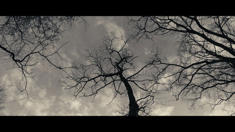 кадр из фильма Qualunque uomo