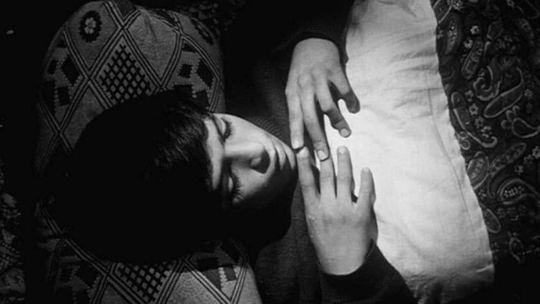 кадр из фильма تجربه