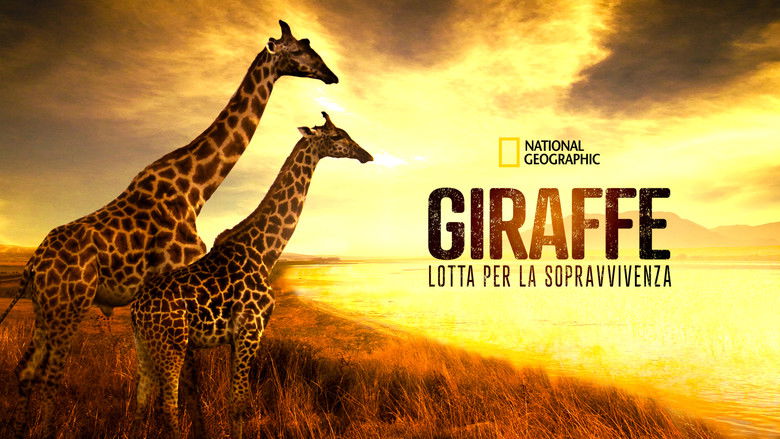кадр из фильма Saving Giraffes: The Long Journey Home