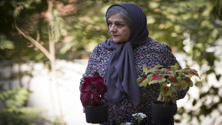 кадр из фильма دوباره زندگی