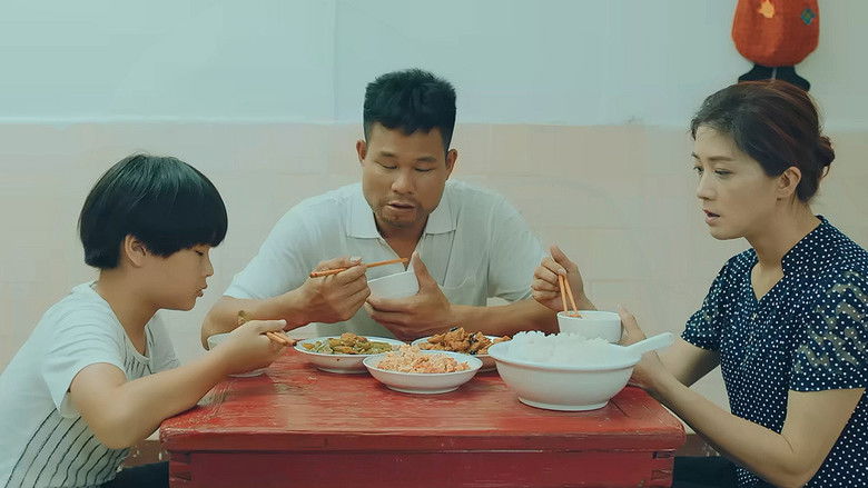 黑暗中的一束光