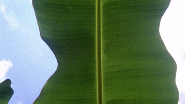 кадр из фильма En la Era